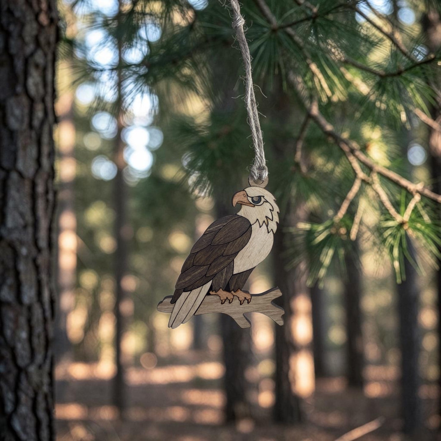 Birds & critters